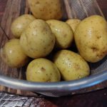 Potatoes in Instant Pot